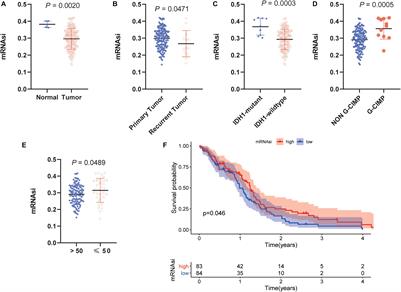 Identification of Prognostic Model and Biomarkers for Cancer Stem Cell Characteristics in Glioblastoma by Network Analysis of Multi-Omics Data and Stemness Indices